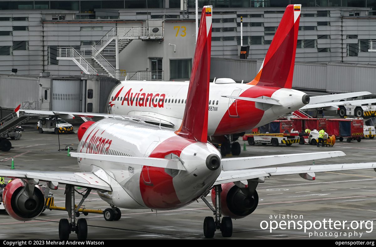 N753AV - Avianca - Aerovías Nacionales de Colombia, S.A. Airbus A319-115 at El Dorado International Airport (BOG/SKBO) taken by Mehrad Andrew Watson | openspotter.org | ID: 87020