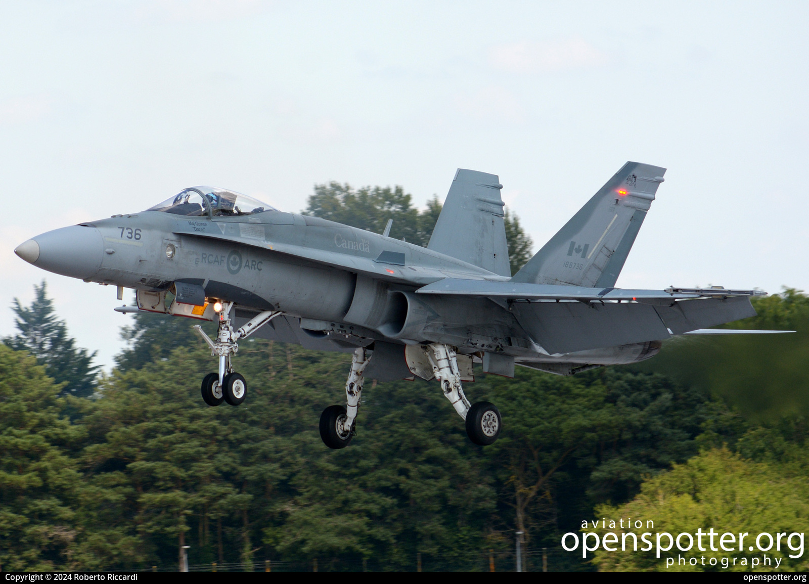 188736 - Royal Canadian Air Force McDonnell Douglas CF-188B Hornet (CF-18B) at RAF Fairford (FFD/EGVA) taken by Roberto Riccardi | openspotter.org | ID: 89706