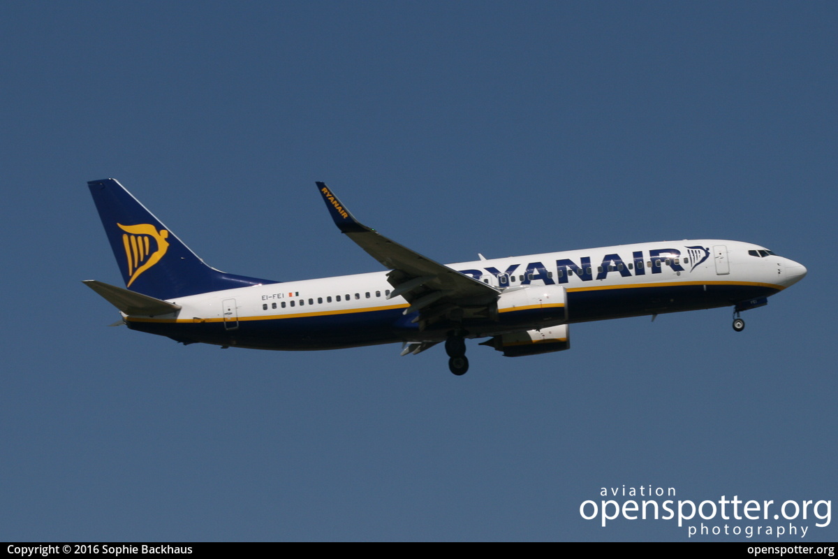 EI-FEI - Ryanair Boeing 737-8AS(WL) at Berlin-Schönefeld International Airport (SXF/EDDB) taken by Sophie Backhaus | openspotter.org | ID: 29748
