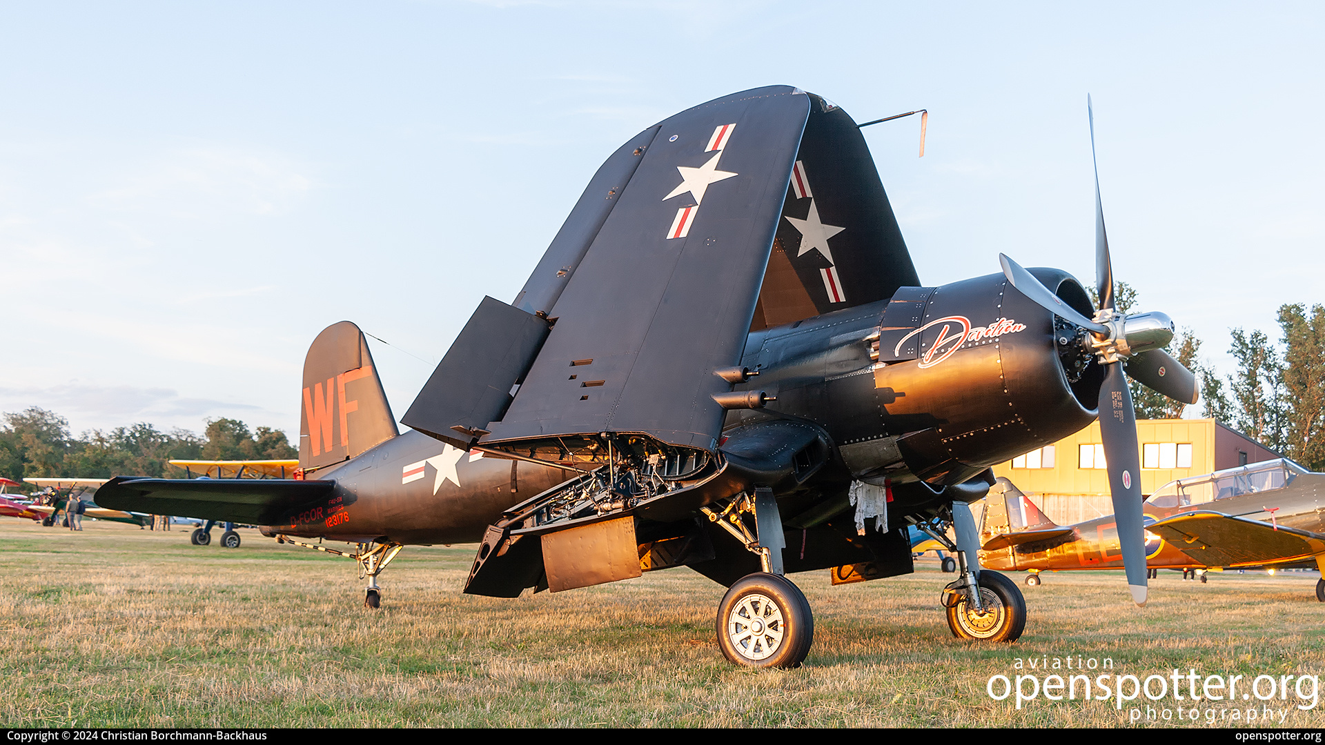 D-FCOR - Private / Untitled Chance Vought F4U-5NL Corsair at Flugplatz Bienenfarm (EDOI) taken by Christian Borchmann-Backhaus | openspotter.org | ID: 89044