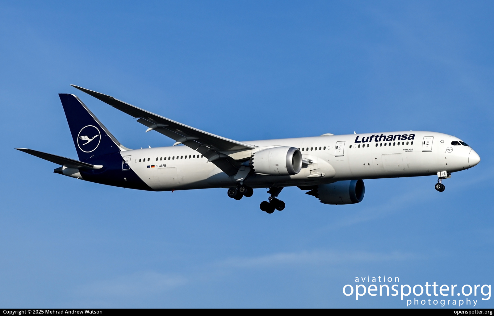 D-ABPB - Lufthansa Boeing 787-9 Dreamliner at Frankfurt International Airport (FRA/EDDF) taken by Mehrad Andrew Watson | openspotter.org | ID: 90461