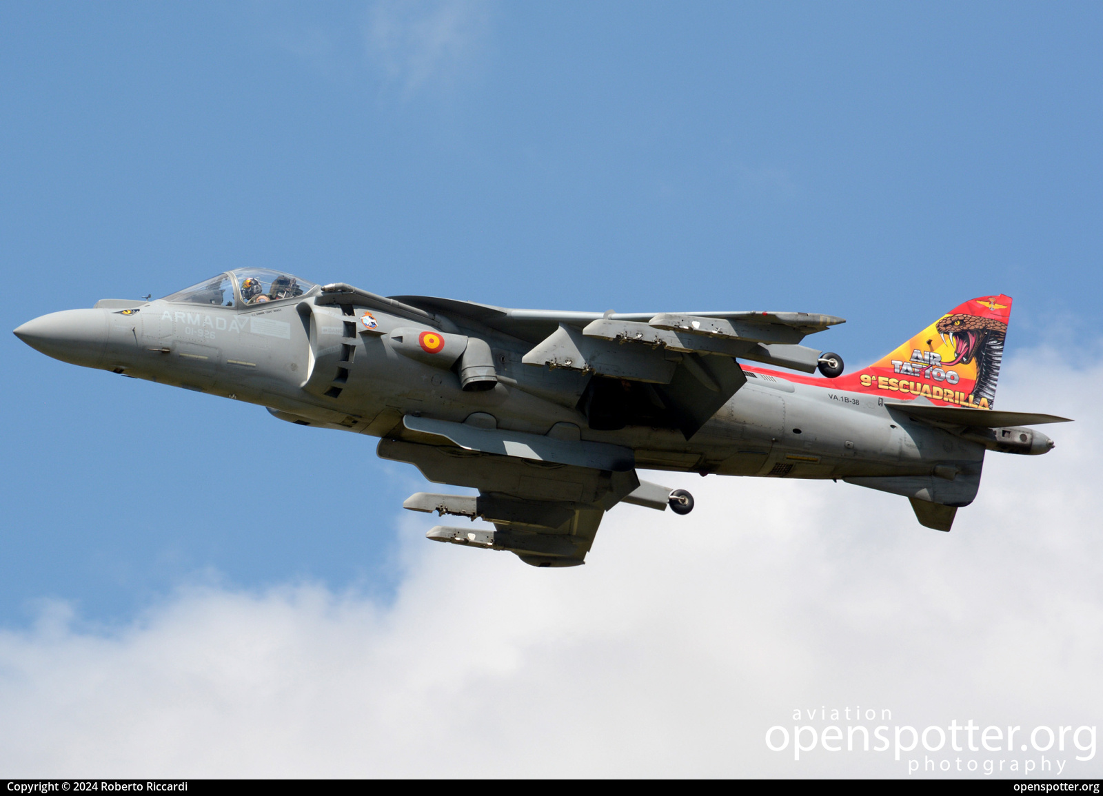 VA.1B-38 - Spanish Navy (Armada Española) McDonnell Douglas EAV-8B Harrier II at RAF Fairford (FFD/EGVA) taken by Roberto Riccardi | openspotter.org | ID: 89705