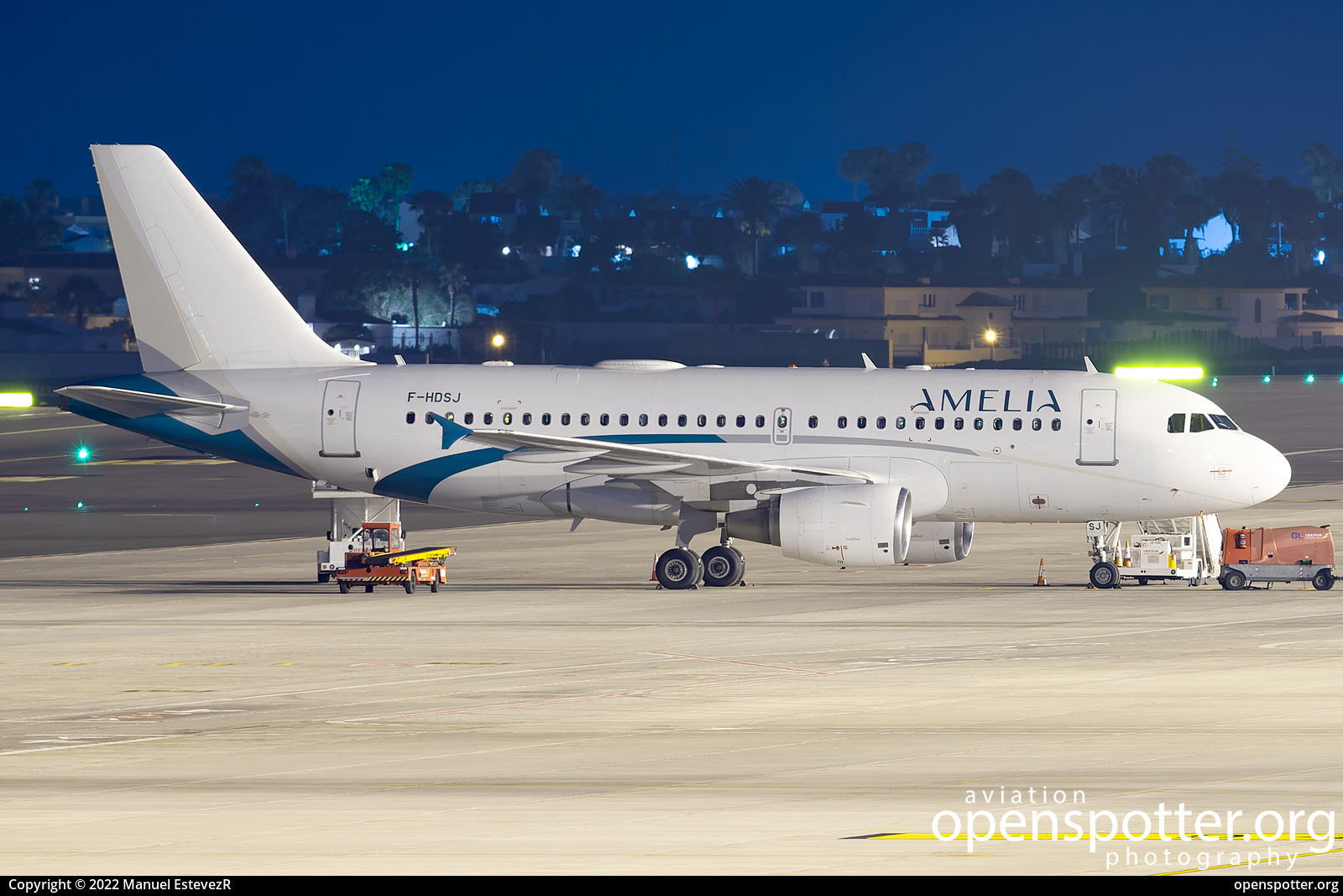 F-HDSJ - AMELIA International Airbus A319-112 at Tenerife South Airport (Reina Sofia Airport) (TFS/GCTS) taken by Manuel EstevezR | openspotter.org | ID: 79533