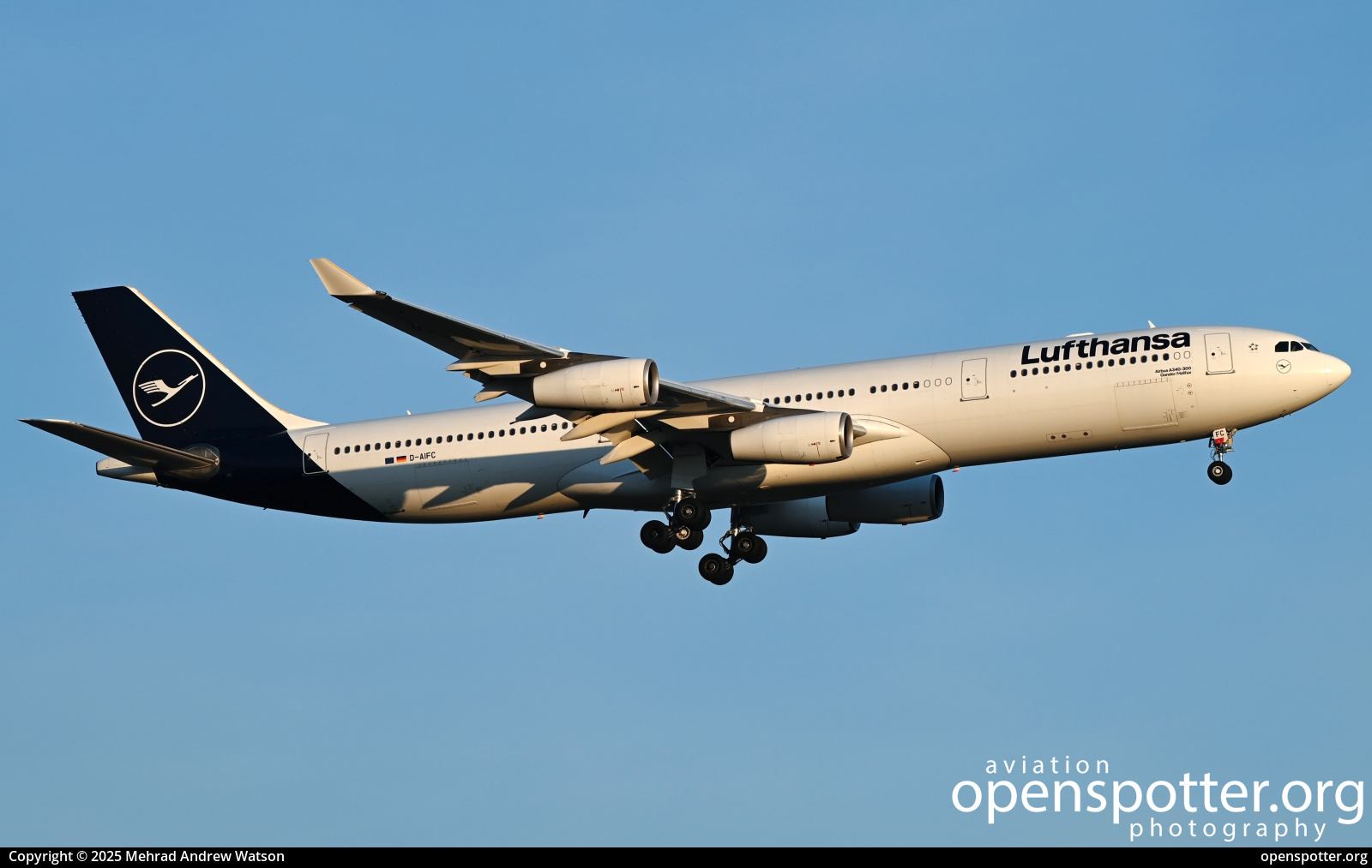 D-AIFC - Lufthansa Airbus A340-313X at Frankfurt International Airport (FRA/EDDF) taken by Mehrad Andrew Watson | openspotter.org | ID: 90462
