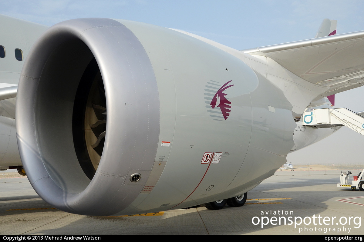 A7-BCF - Qatar Airways Boeing 787-881 Dreamliner at Dubai Al Maktoum International Airport (DXC/OMDW) taken by Mehrad Andrew Watson | openspotter.org | ID: 12762