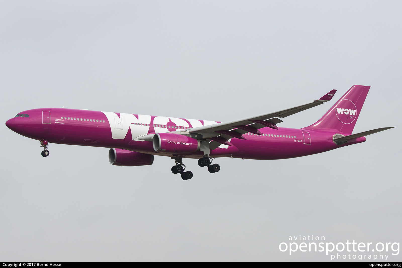 TF-GAY - WOW air Airbus A330-343X at Berlin-Schönefeld International Airport (SXF/EDDB) taken by Bernd Hesse | openspotter.org | ID: 40539