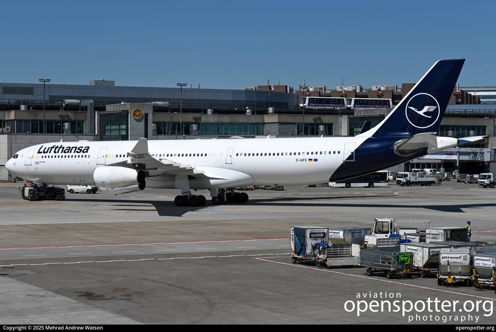 D-AIFE - Lufthansa Airbus A340-313X at Frankfurt International Airport (FRA/EDDF) taken by Mehrad Andrew Watson | openspotter.org | ID: 90459
