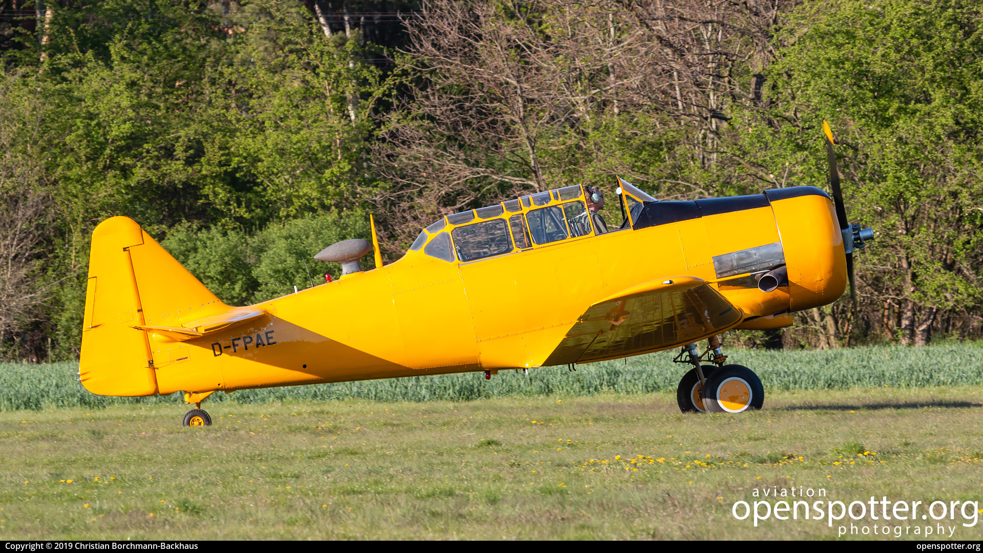 D-FPAE - Private / Untitled North American AT-6C Texan at Flugplatz Bienenfarm (EDOI) taken by Christian Borchmann-Backhaus | openspotter.org | ID: 60450