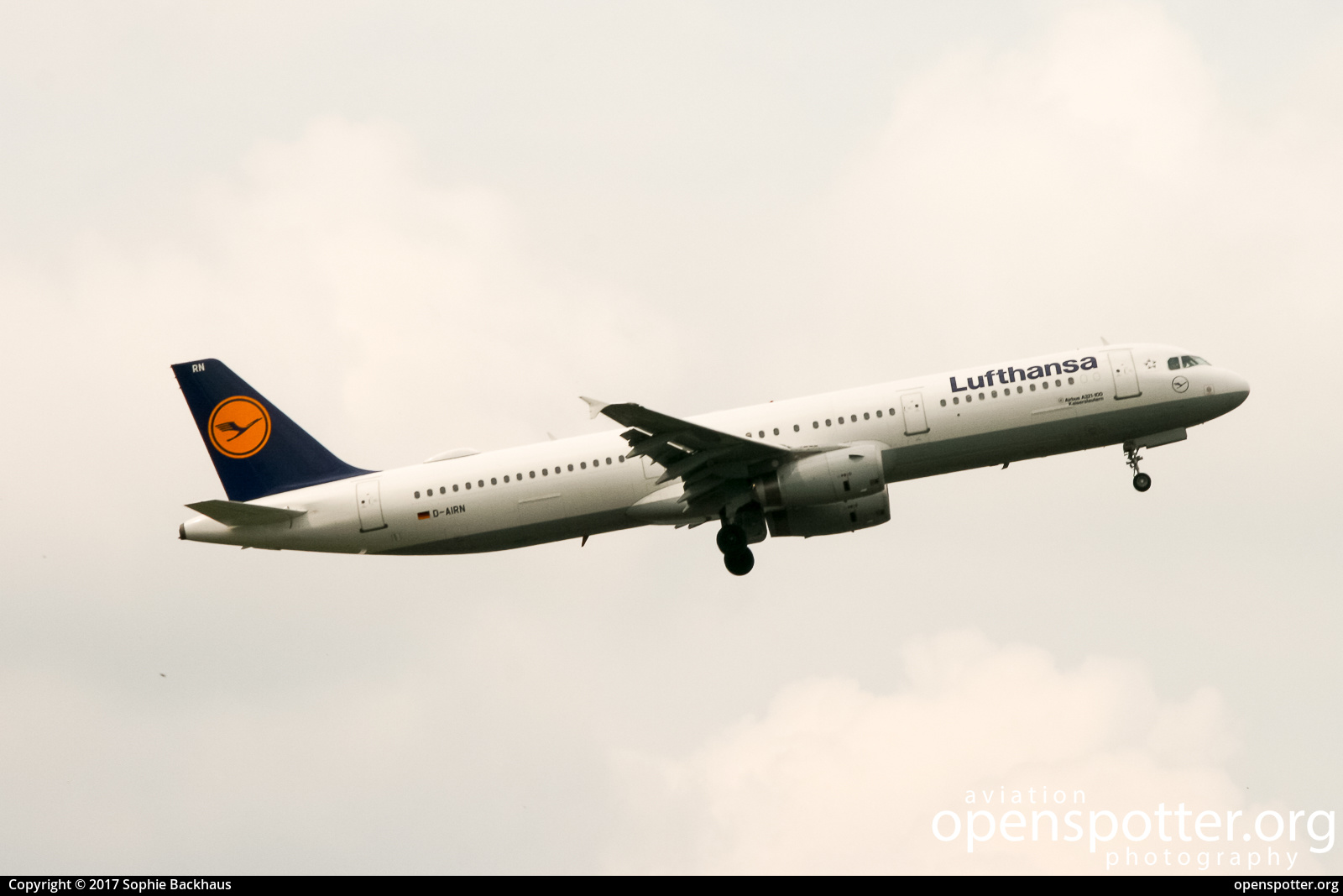 D-AIRN - Lufthansa Airbus A321-131 at Berlin-Tegel Airport (TXL/EDDT) taken by Sophie Backhaus | openspotter.org | ID: 42749