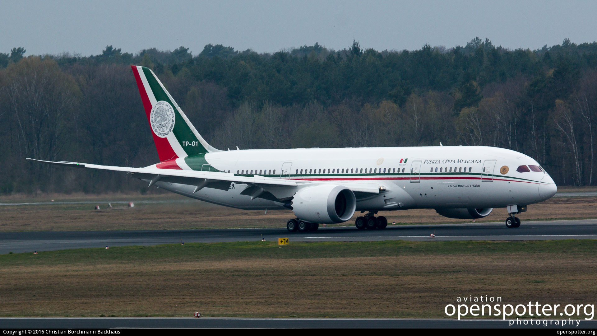 XC-MEX - Mexico Air Force (Fuerza Aerea Mexicana) Boeing 787-881 Dreamliner at Berlin-Tegel Airport (TXL/EDDT) taken by Christian Borchmann-Backhaus | openspotter.org | ID: 49762