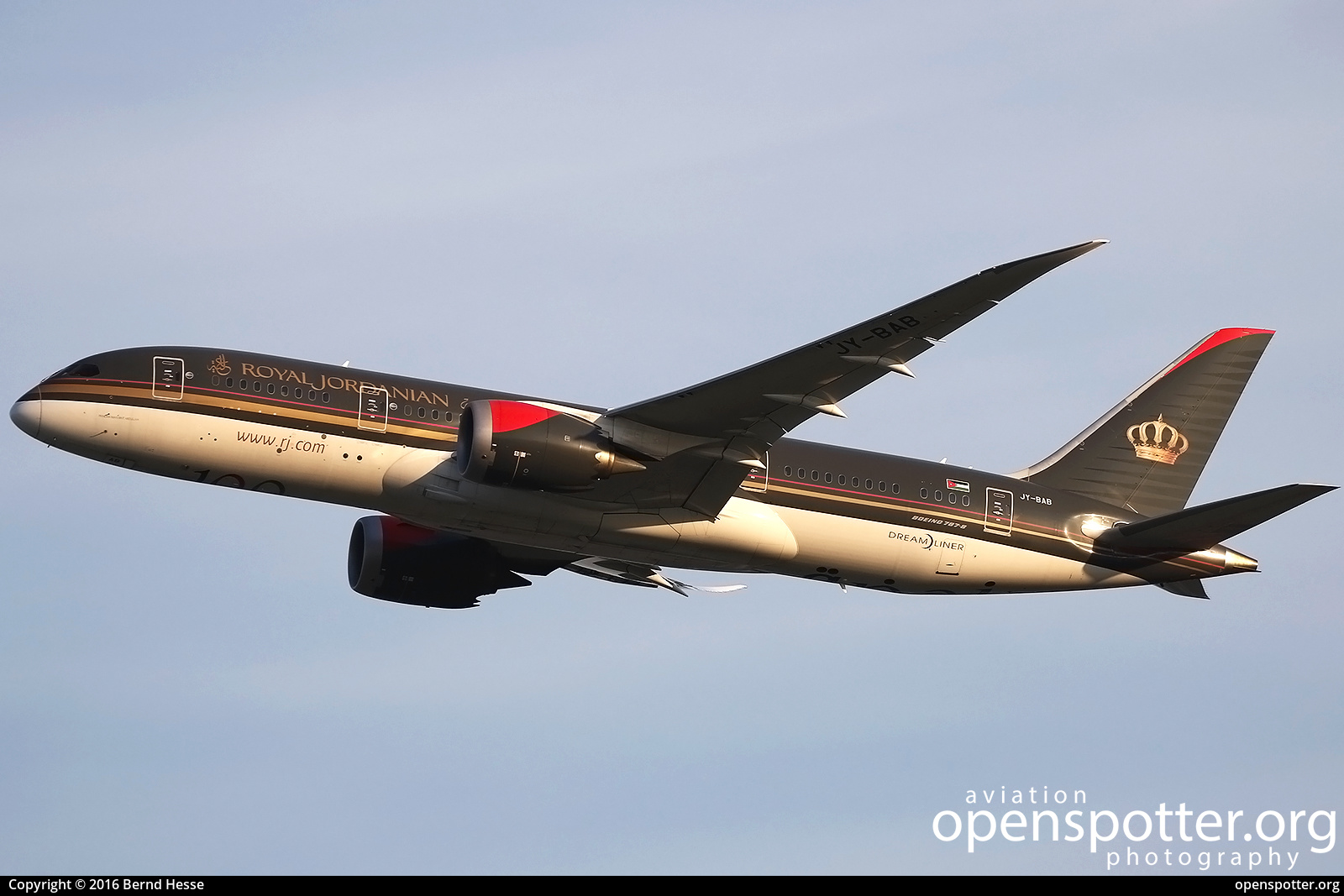 JY-BAB - Royal Jordanian Boeing 787-8 Dreamliner at Suvarnabhumi Airport (New Bangkok International Airport) (BKK/VTBS) taken by Bernd Hesse | openspotter.org | ID: 40732